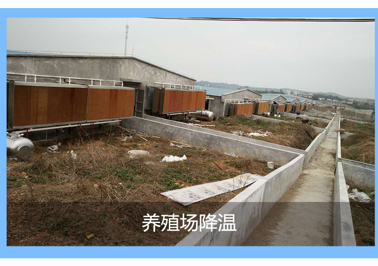 養豬場水簾選擇，需要多少安裝費？